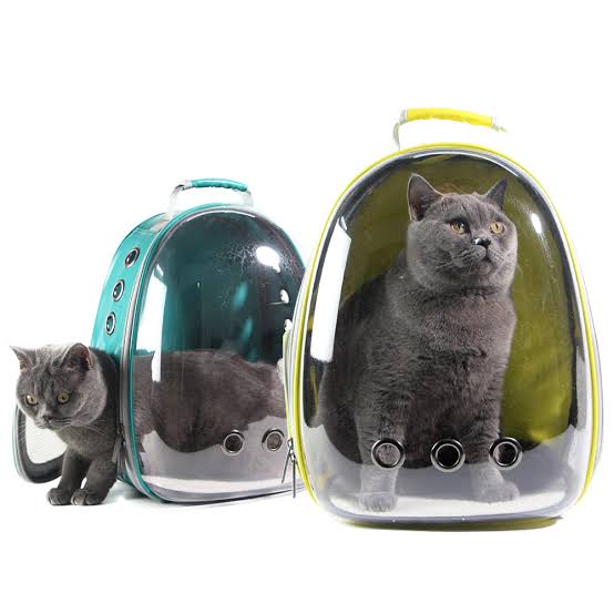 Mochila transparente para pets - gatos e cachorros pequenos